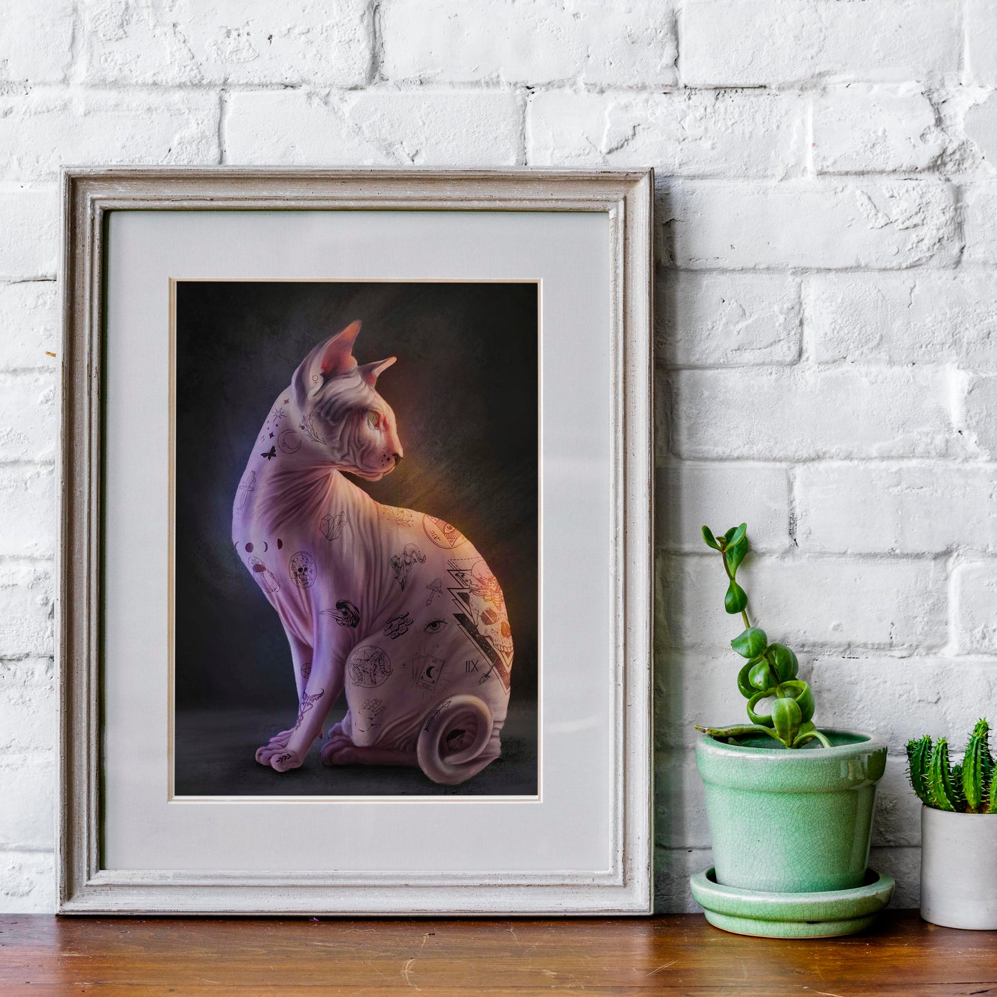 Sphynx